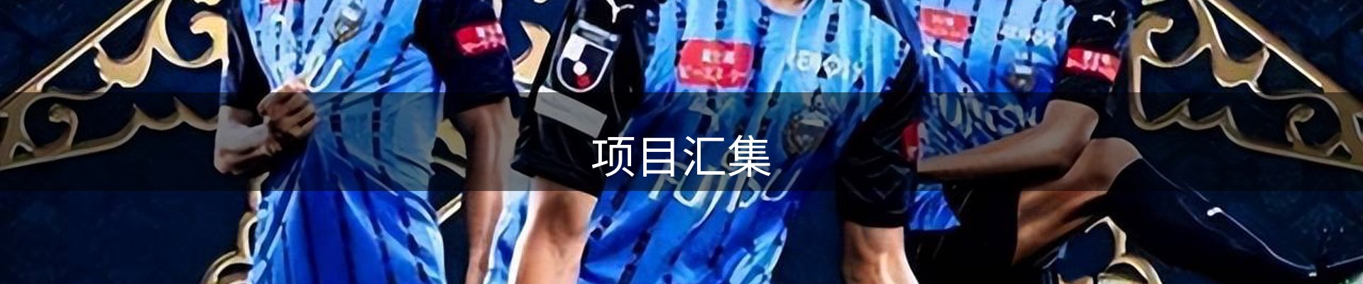 项目汇集